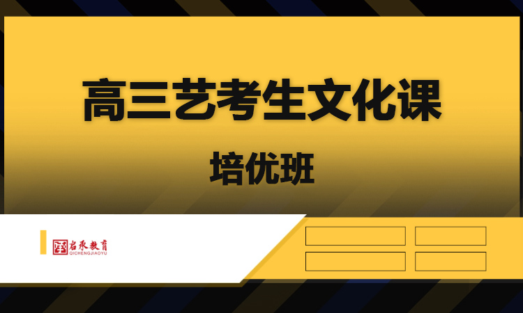 高三艺考生文化课培优班