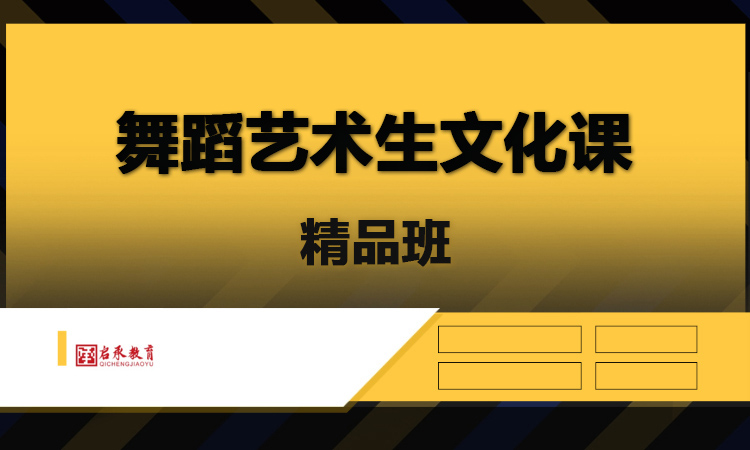 舞蹈艺术生文化课