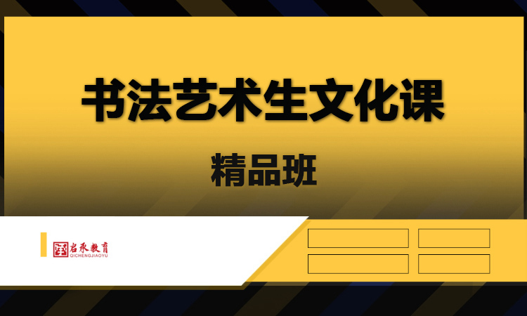 书法艺术生文化课