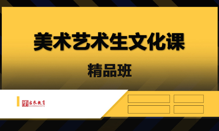 美术艺术生文化课